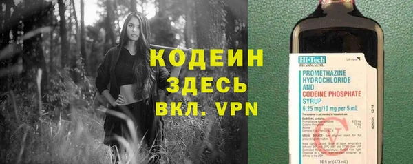 мяу мяу кристалл Переславль-Залесский