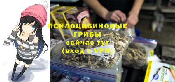 мяу мяу кристалл Переславль-Залесский