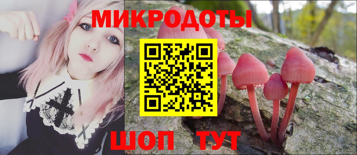 Псилоцибиновые грибы ЛСД  купить   Богданович  Вход с VPN  Галлюциногенные грибы мицелий 
