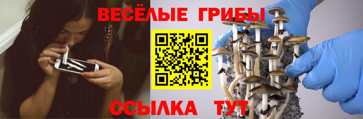 Галлюциногенные грибы MAGIC MUSHROOMS Богданович