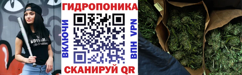 Шишки марихуана Amnesia  Богданович 